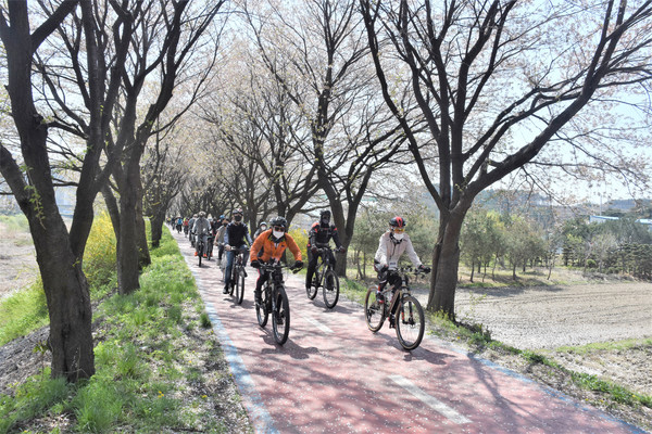 자전거동호인들이 봄의 정취를 만끽하며 보청천 벚꽃길을 달리고 있다.