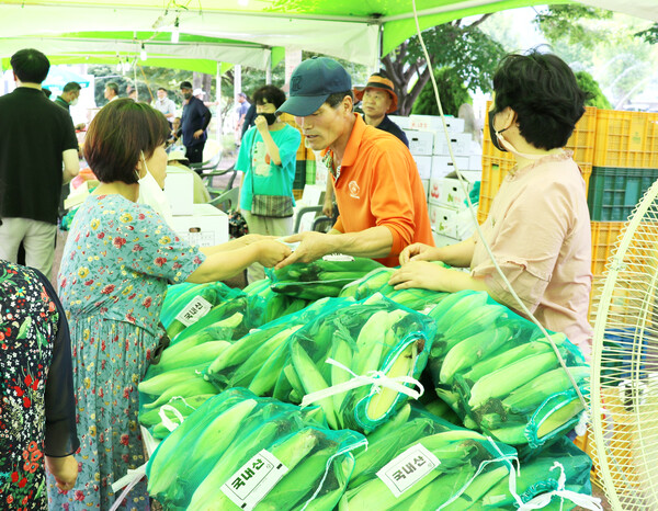 사진은 지난해 열린 축제에서 방문객들이 옥수수를 구매하고 있는 모습.