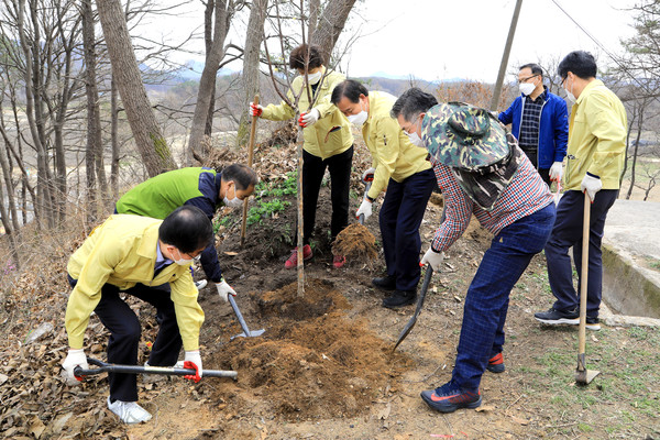 김재종 군수(오른쪽 네 번째)가 군 관계자들과 나무를 심고 있다.