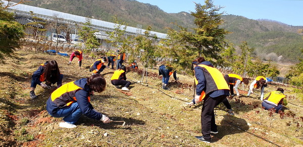 옥천여성의용소방대원들이 옥천읍 소재 화훼 농가를 찾아 일손을 돕고 있다.