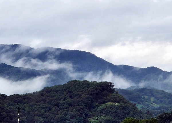 안개구름으로 덮인 옥천의 아침 산 풍경. 사진 김근영 씨 제공