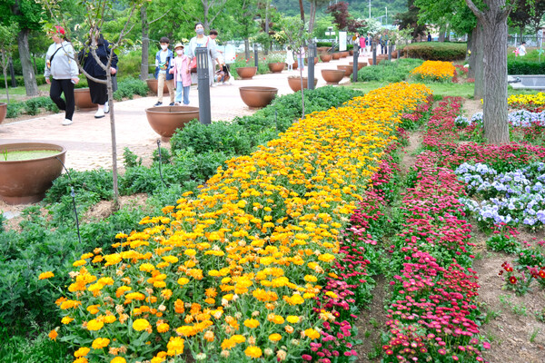 노근리평화공원을 찾은 주민들이 꽃길을 걷고 있다.